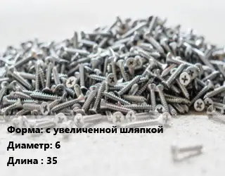 Шуруп с увеличенной шляпкой 6х35 без покрытия